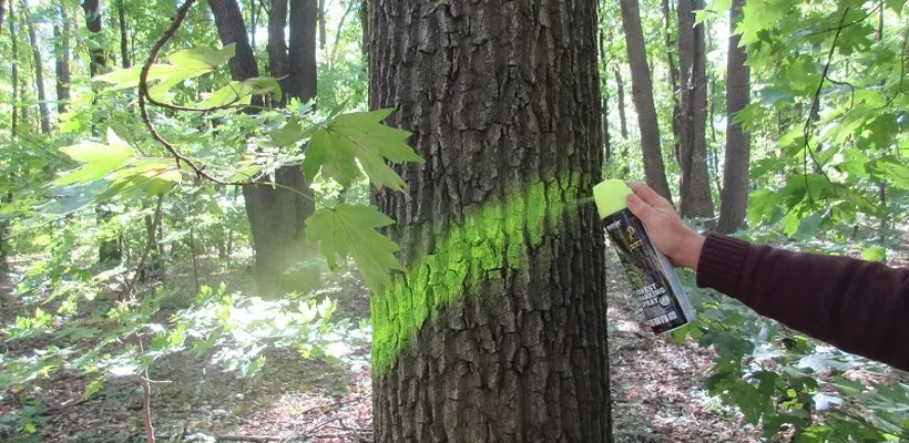 Флуоресцентна фарба для маркування лісу 4