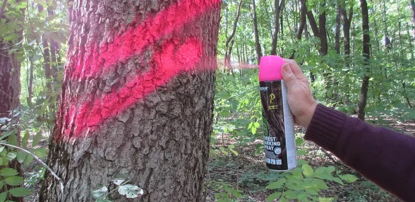 Флуоресцентна фарба для маркування лісу 6