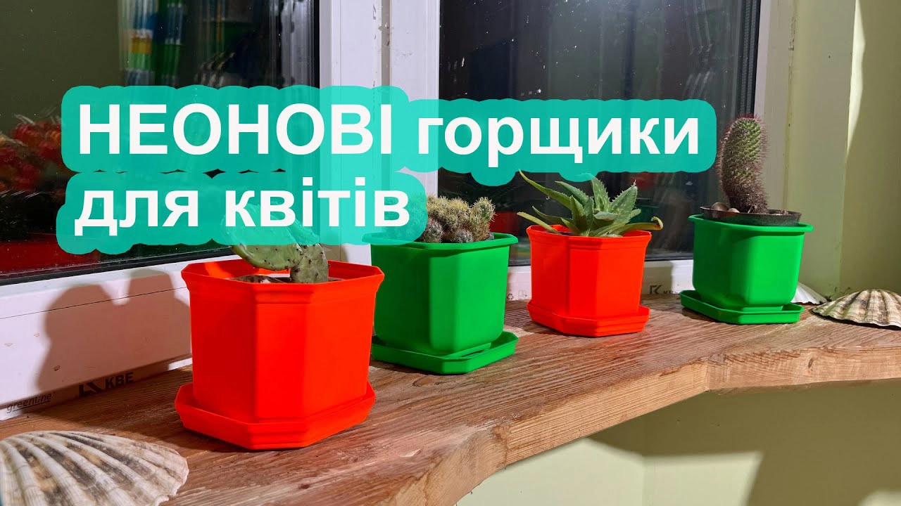Video відео